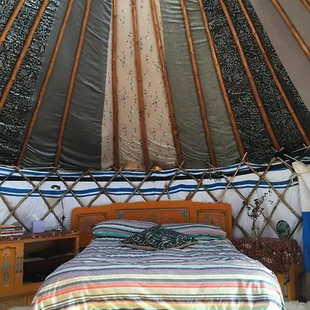 Inch Hideaway Eco Camping Whitegate  Exterior foto