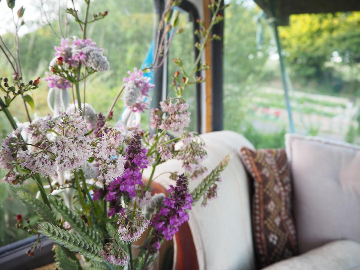 Inch Hideaway Eco Whitegate (Cork)
